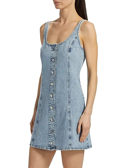 FRAME The Shift Dress Mingle