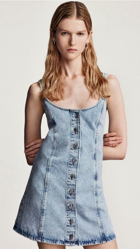 FRAME The Shift Dress Mingle